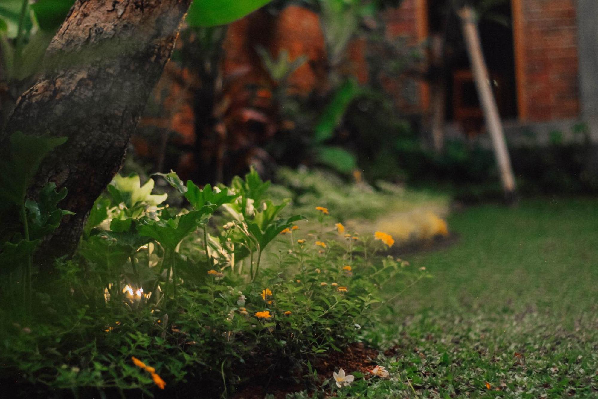 The Govardhan Homestay Canggu Exterior foto